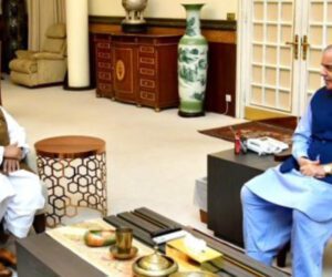 PM Shehbaz discusses political situation with JUI-F chief