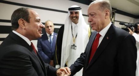Turkey, Egypt appoint ambassadors to restore diplomatic ties