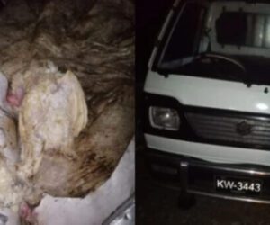 Police seize van supplying dead chickens in Karachi