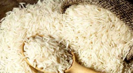 India to cut price for basmati rice exports as buyers turn to Pakistan