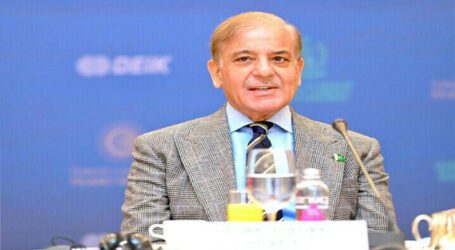 PM Shehbaz to lay foundation stone of C-5 nuclear power project today