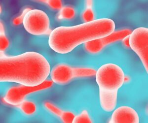 Outbreak in France: What is botulism and what are its symptoms?