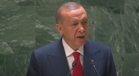 Erdogan calls for Pakistan, India dialogue to end Kashmir dispute