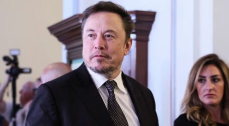 Musk seeks ‘referee’ to regulate AI