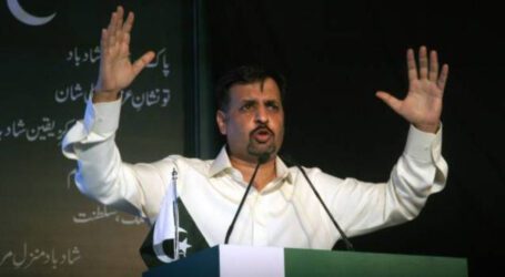 Mustafa Kamal-led Pak Sarzameen Party dissolved