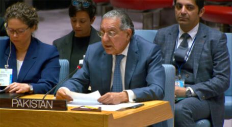 Afghanistan-based terror groups pose security threat for Pakistan: Envoy