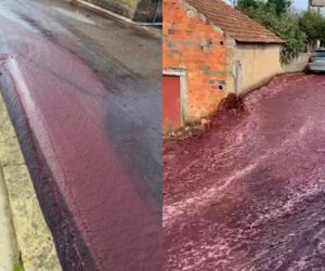 Portuguese town flooded by river of red wine
