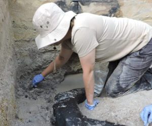 Oldest log structure from Stone Age uncovered in Zambia