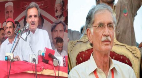 Are ANP and PTI-P going to form alliance in Pakhtunkhwa?