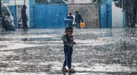 Did you know Palestinians are not allowed to harvest rain water?