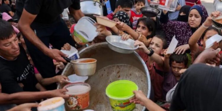 Famine 'imminent' In Northern Gaza, Warns WFP