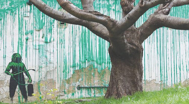 BANKSY artwork is pictured onto a wall behind a leafless tree.—AFP
