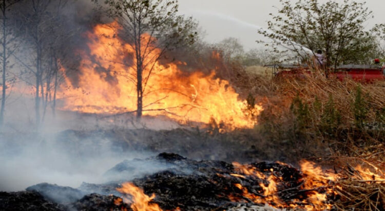 FILE / Firefighers douse fire that broke out on a greenbelt near Nust in Islamabad on June 8, 2022 . — Photo by Mohammad Asim via Dawn.com