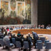 United Nations Security Council