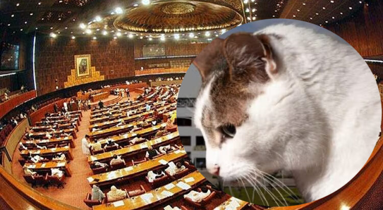 (Representational Image)