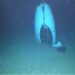 This screengrab taken from a video released by the US Coast Guard shows the Titan submersible after it imploded.
Pelagic Research Services/U.S. Coast Guard