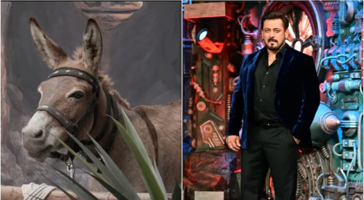 Gadharaj Donkey removed from Bigg Boss 18. (Image credit: Instagram/JioCinema)