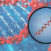 Image: BioVendor