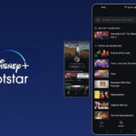 Disney + Hotstar