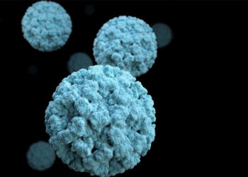 Norovirus