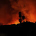 Image: AP