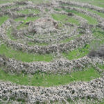Wheel of Ghosts