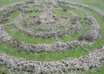 Wheel of Ghosts