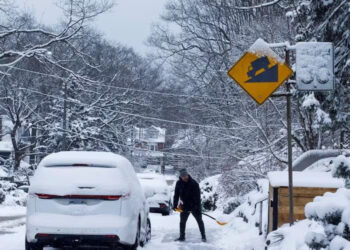 A person shovels the sidewalk after another winter snowfall in Toronto on Feb. 8, 2025. Environment Canada has issued winter weather warnings for most of southern Canada starting Wednesday.

Photo: Showwei Chu/CBC