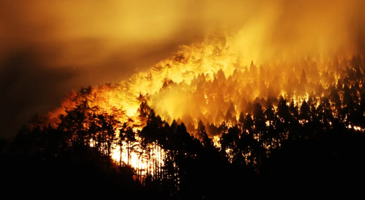 A forest fire burns in Ofunato, Iwate prefecture, Japan on March 3, 2025.
The Asahi Shimbun/Getty Images