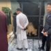 Man arrested for keeping lion without licence, Picture Credit DP