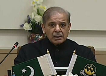 PM Shehbaz Sharif, PTV screen grab