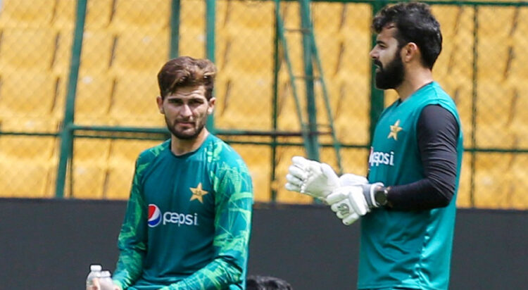 Shaheen and Shadab