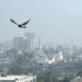 File photo.Dawn News