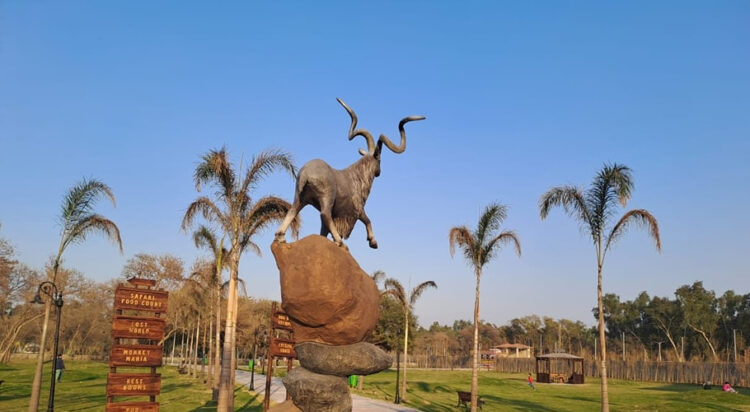 A view of Lahore Safari Park (Image: askaricars.com)
