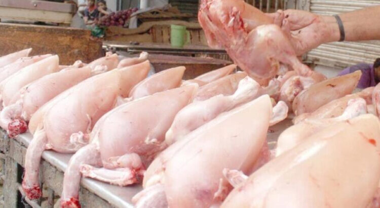 Chicken prices