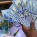 Foreign Currency