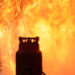 Gas Cylinder Explosion