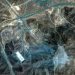 Nuclear Facilities