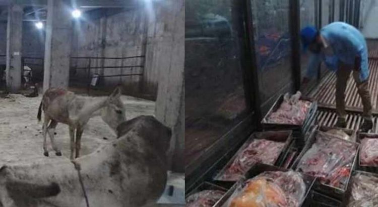 Donkey Meat