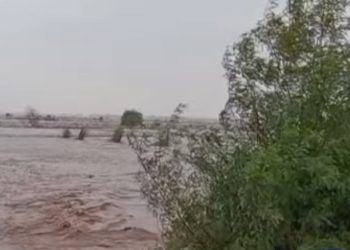 Flood Emergency in Punjab: Hundreds Stranded, Villages Isolated, and Rivers Rising (Image: Screengrab/Dunya News)