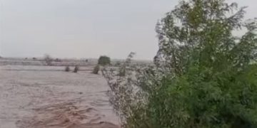 Flood Emergency in Punjab: Hundreds Stranded, Villages Isolated, and Rivers Rising (Image: Screengrab/Dunya News)