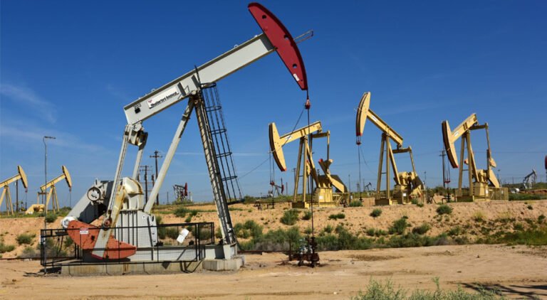 Oil found
