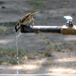 Karachi, Water