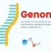 A genome is the complete set of genetic instructions found within an organism. It serves as a master blueprint containing all the DNA (or RNA in some viruses) required to build, grow, and sustain life.