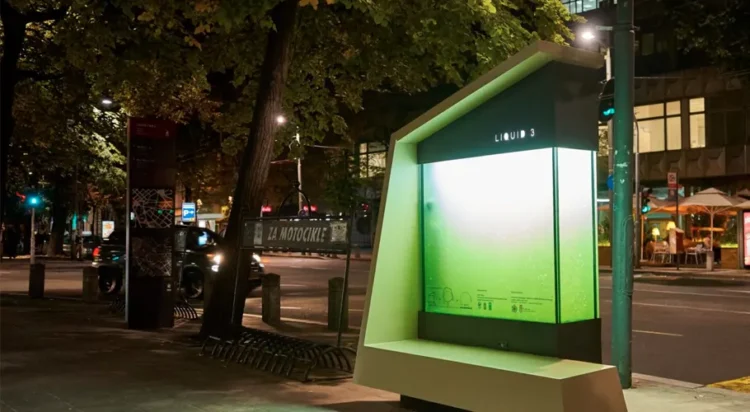 A "liquid tree" (often known by prototypes like LIQUID3) is an urban photobioreactor tank filled with water and microalgae.