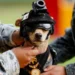 Photo, reuters